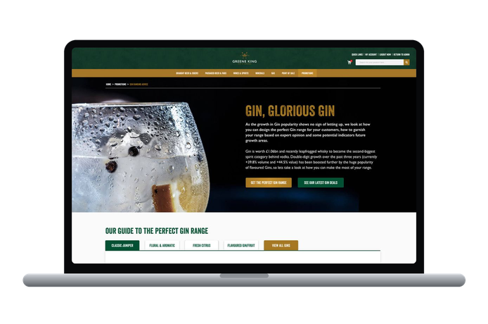 Gin ranging on a laptop